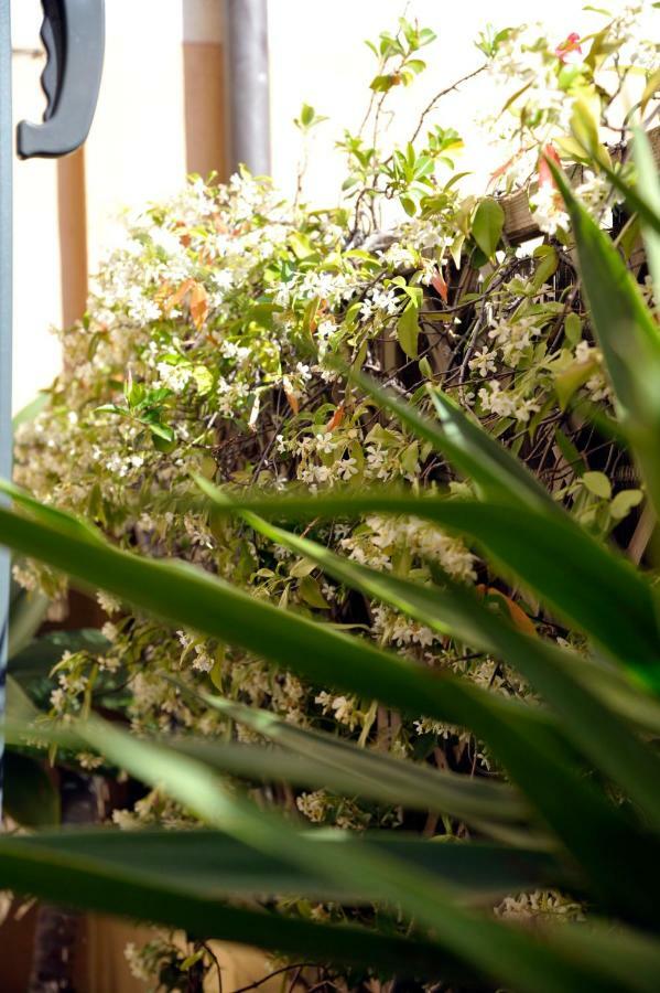Giardino In Citta; Centralissimo サンレモ エクステリア 写真