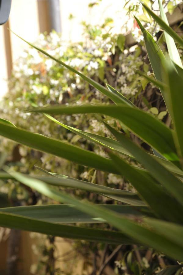 Giardino In Citta; Centralissimo サンレモ エクステリア 写真